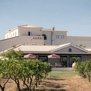 Restored 19th-century farmhouse at Shanti-Som Algarve, seen across the orange orchard