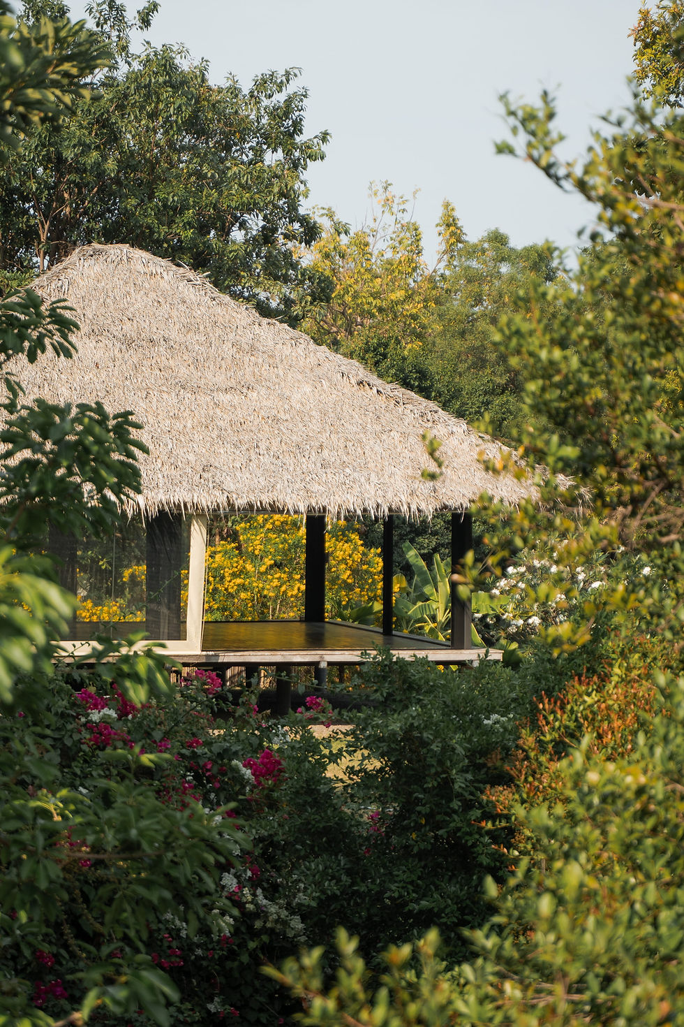 Open-sided thatched yoga sala at Absolute Sanctuary, Koh Samui, framed by bougainvillea and flowering tropical shrubs