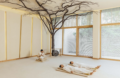 Sound healing Raag therapy session with live flute music at Six Senses Vana wellness retreat