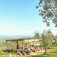 Outdoor yoga shala surrounded by olive trees with countryside views at Tuscan Fitness retreat in Italy.