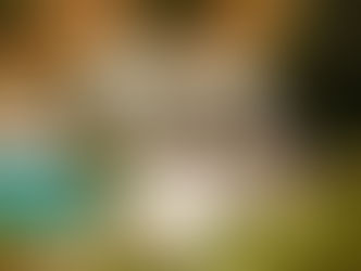 Shanti Som Wellbeing Retreat’s serene poolside deck with white sun loungers and elegant parasols, surrounded by Mediterranean greenery and dry hillside.