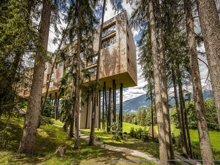 Treehouse-style architecture of My Arbor Hotel surrounded by forest in South Tyrol