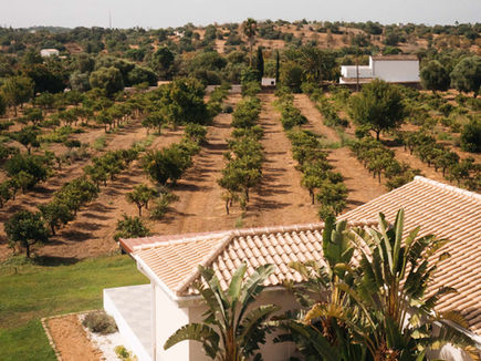 Aerial view of Shanti-Som Algarve, surrounded by orchards and Mediterranean gardens