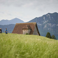 Walking in the meadows above Weggis with Lake Lucerne and the Alps beyond