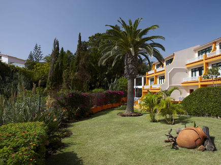 Garden with palm tree and flowers at Alpino Atlantico Ayurveda Hotel in Madeira