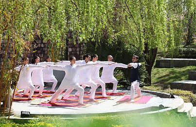 Outdoor group yoga session at Ananda in the Himalayas