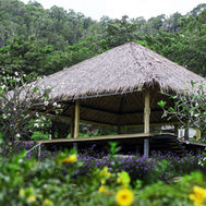 Thatched open-sided sala surrounded by tropical planting on the hillside at Absolute Sanctuary, Koh Samui