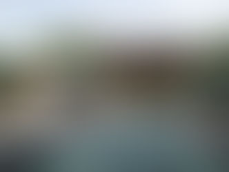 RAKxa Integrative Wellness’s tranquil wooden pavilion surrounded by lush greenery and serene water features.