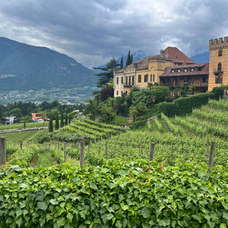 View of vineyards and castle near Villa Eden in Merano, South Tyrol, Italy.