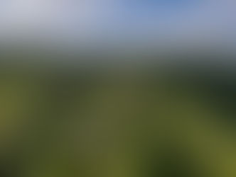 Panoramic aerial view of Santani Wellness Resort in Sri Lanka, showing garden chalets along mountain views and and lush landscape.