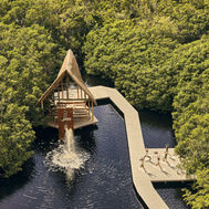 Thatched pavilion at the water's edge in the mangroves at SHA Wellness Clinic Mexico