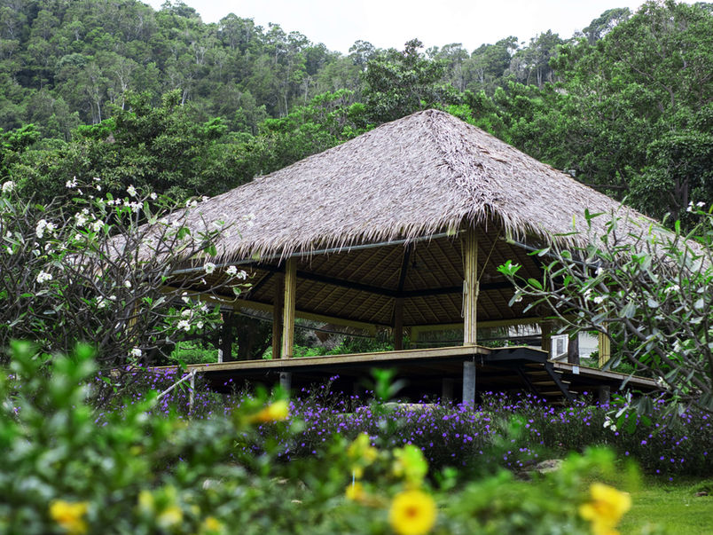 Thatched wellness pavilion surrounded by wildflowers and forest at Absolute Sanctuary