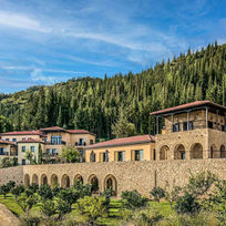 Aerial view of Euphoria Retreat surrounded by lush pine forest in the Peloponnese, Greece