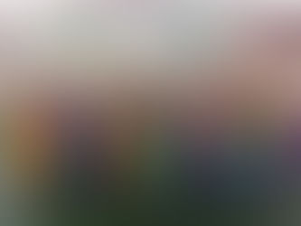 XXIV Feira do Livro & Soletrando