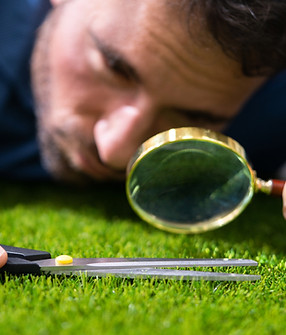 Compulsive Obsessive Disorder. Perfectionist Cutting Garden Grass.jpg