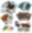 6 Fossilis Expansions $20USD