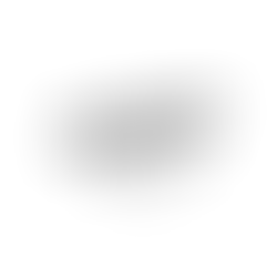 Burger Social A Restaurant Review