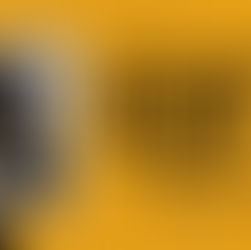 No Kings 3 Heber City - Mar 28