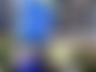 12月の朝のご挨拶