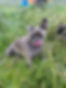 IMG_5045.jpeg