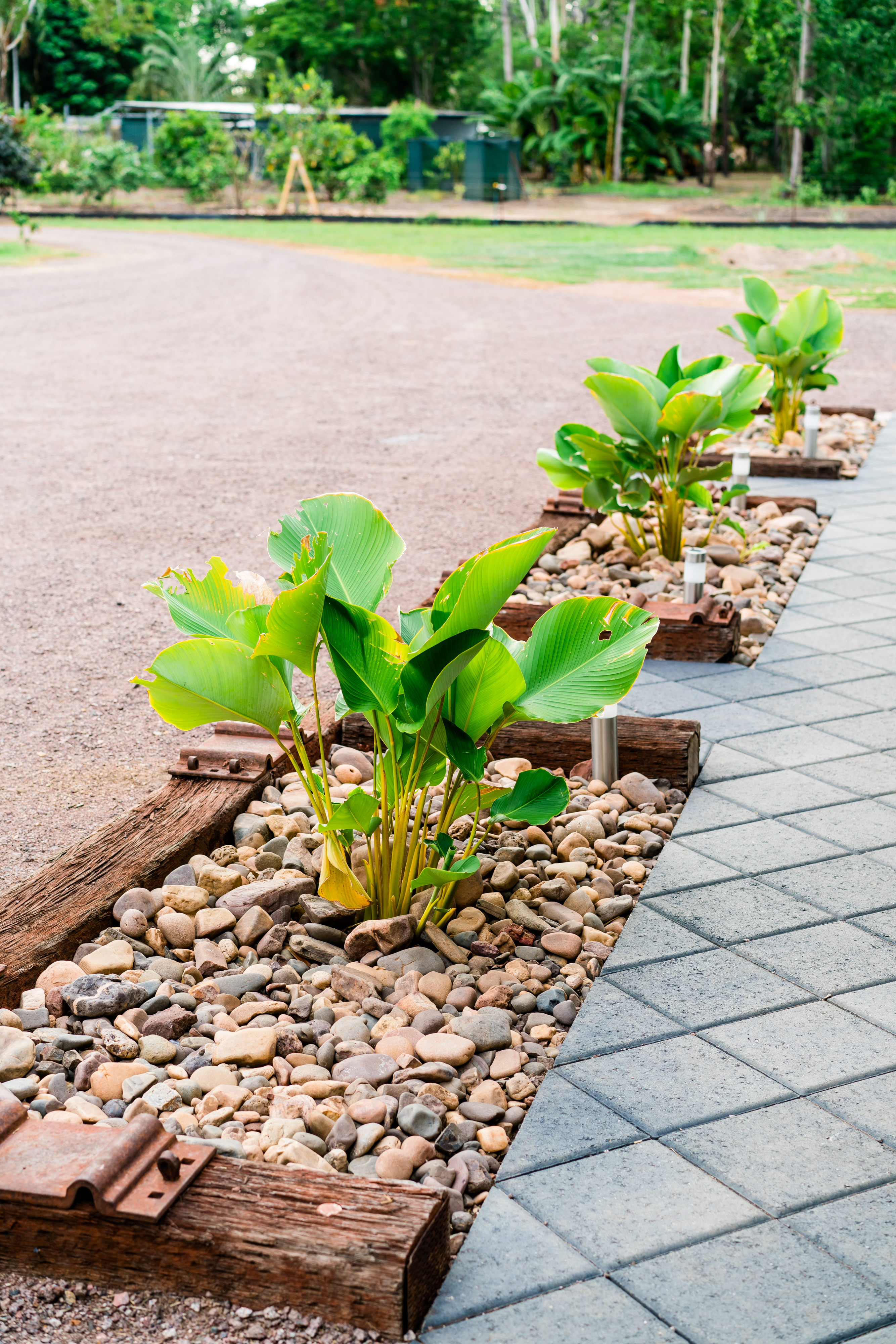 Landscaping Darwin