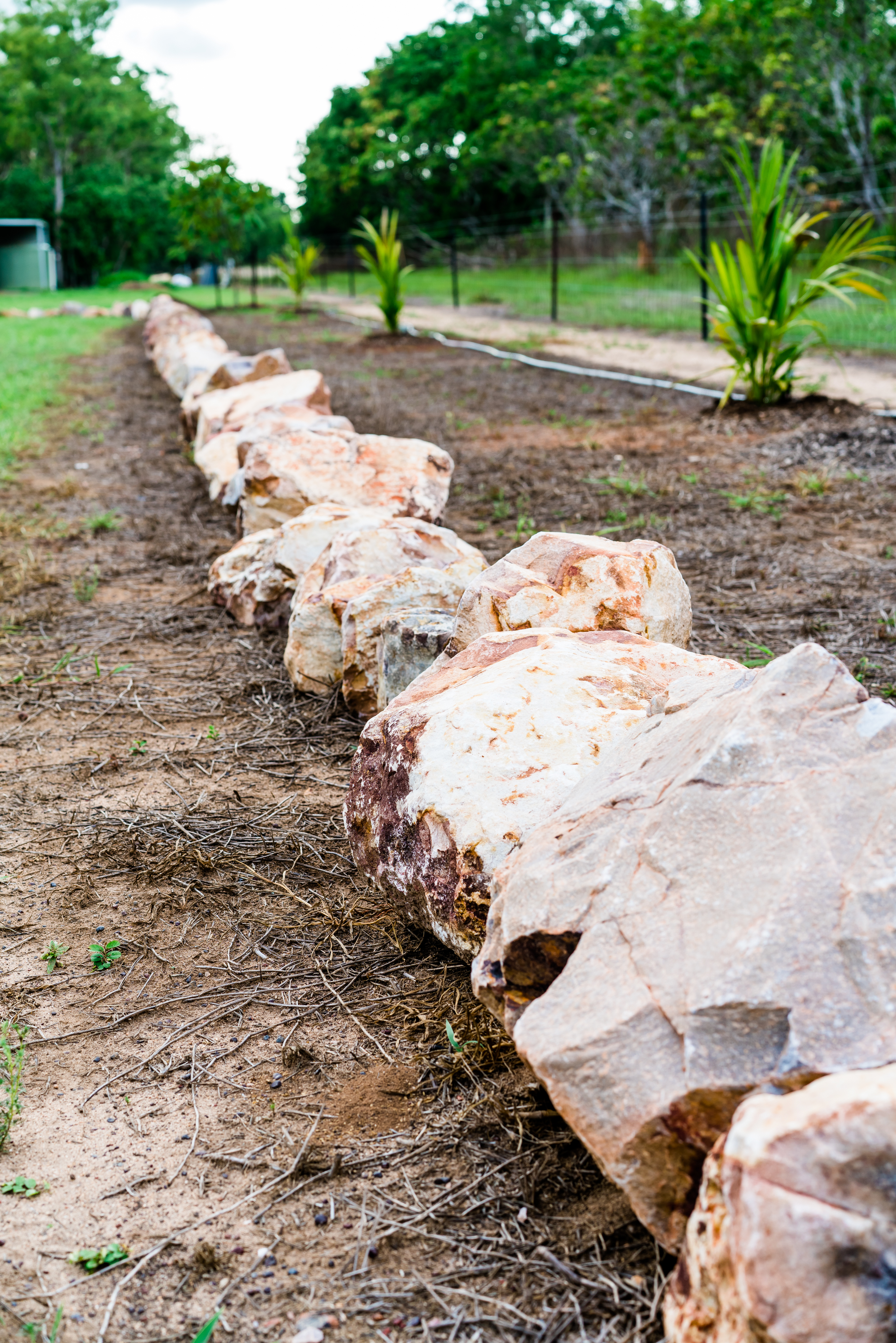 Garden Edging