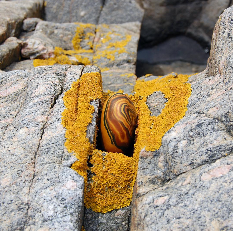 Stone Soap Spa - Gurkumeie
