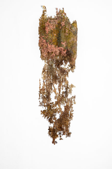 ללא כותרת(א׳)_התרה_2013_med.jpg