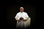 VATICAN 'DOUBLE' SAINTHOOD : Ominous signs from above ??