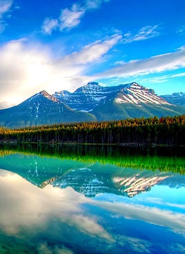 God's Kingdom on Earth