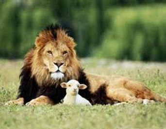 God's Kingdom on Earth