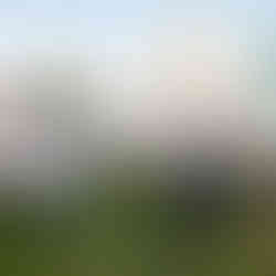 Marathon Photography in Gurgaon
