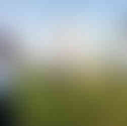 Marathon Photography in Gurgaon
