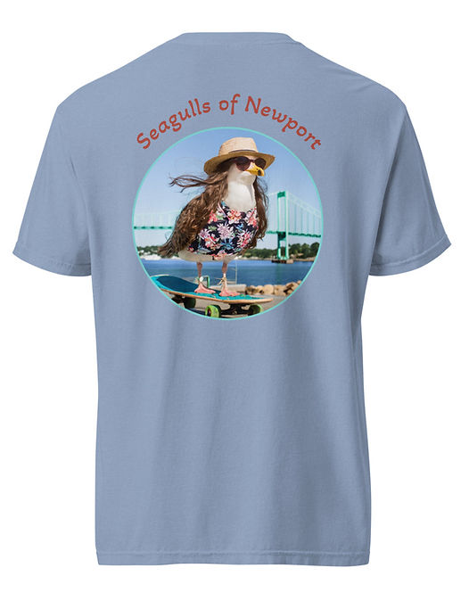 unisex-garment-dyed-heavyweight-t-shirt-washed-denim-back-689b596b46e7d (1).jpg