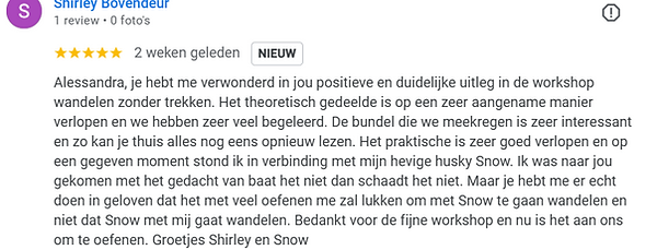 Review-Shirley-WZT.png