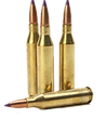bullets edited.png