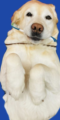 thumbnail_IMG_0631.jpg