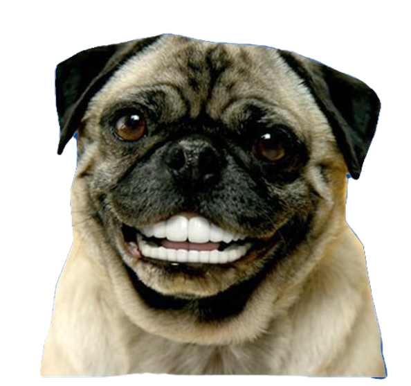 17c798c0-886d-4f4d-8716-657e12600f98_edited.png