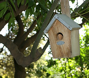 Wooden Birdhouse Outdoors
