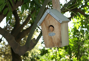 Bird House