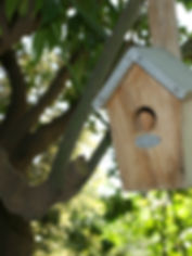 Bird House