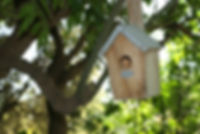 Bird House