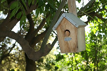 Bird House