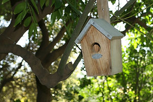 Bird House