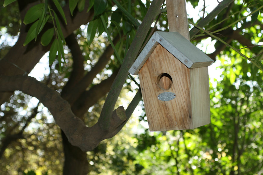 Tiny House Chiemgau