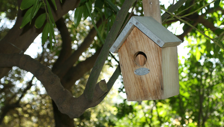 Bird House 