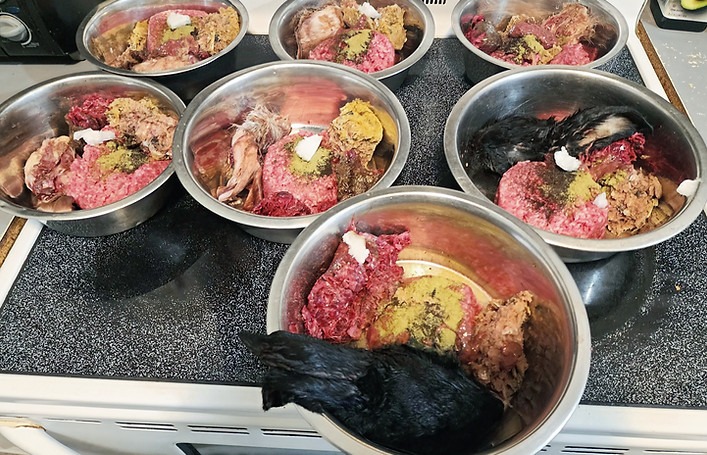Bowls of fresh raw food