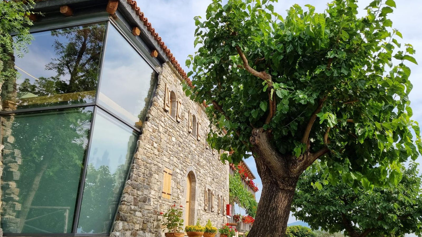 Modernes Steinhaus mit Glasanbau und Baum