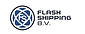 Flash Shipping BV Logo.jpg