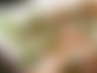 【ベトナムの定番ばらまき土産】ベトナムの代表メシライスペーパー前編